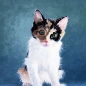 Block (1) Img #1   Innocence