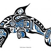 Bos (1) Img #1  Pacific Dream