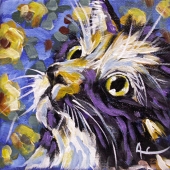 KONICA MINOLTA DIGITAL CAMERA