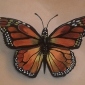 Crowhurst (1) Img #1  The Butterfly