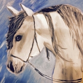 Dasgupta (1) Img #1  Bashful Horse