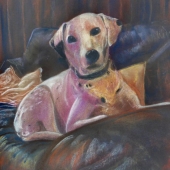 Evans-M (1) Img #1  Charlie