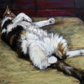 Gladstone (1) Img #2  Belly Up