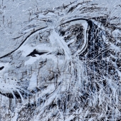 Hegewisch (1) Img #4  Lion