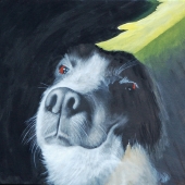 Hoye (2) Img #2  In The Limelight