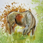 King-P (1) Img #2 Horse in Field