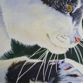 Larkins (2) Img #2  Otto