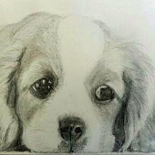 McLamore (1) Img #2  Skoot