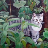 Nawrocki (1) Img #5  On the Prowl