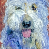 OMeara (1) Img #1  Samson