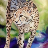 Roberts-E (1) Img #2 Softly-Softly