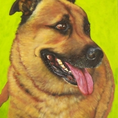 Rosanes (1) Img #1  Mutley