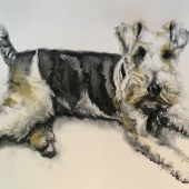 Shand (1) Img #2  Molly