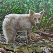 Skiadas (1)  Img #1 Where Is Mom