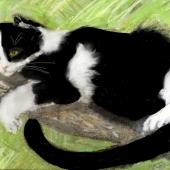 Ungermann Marshall (1) Img #3  Figgy