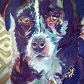 Westergaard (1) Img #1  Doggie