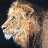 HM - Paint - Hansen-K (1) Img #2 Battle Scars