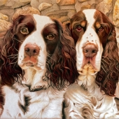 HM - Paint - Hoque (1) Img #2 Abby and Romeo