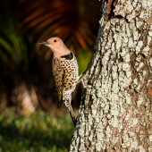 Lloyd-C (1) Img #2  Are you talking to me