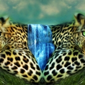 Maez (2) Img #1  Waterfall