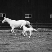 Passmore (2) Img #4 Mirror Image of Mom