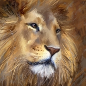 Webb (1) Img #1  Then came man, the destroyer....