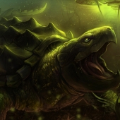 Wentworth (1) Img #2  Alligator Snapping Turtle