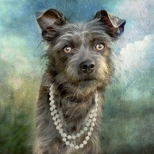 3rd Place - Photo - Wilde (1) Img #5  Portait of a Lady