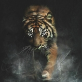 HM - Photo - Webb (1) Img #2  The Ghost