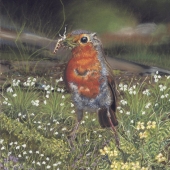 Best (1) Img #3  Robin with wild Irish flowers
