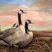 Billups-Blevins (1) Img #2  Contemplating South