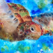 Boltong (1) Img #4  Sage of the Sea 2