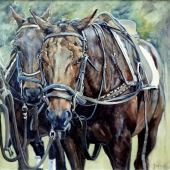 Braithwaite (1) Img #1  Between Chukkas