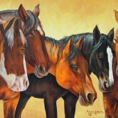 Bryce (1) Img #1  Calm Before the Storm