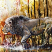 Buffery (1) Img #1  Lion Brother