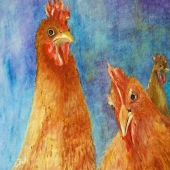 Bull (1) Img #1  The Girls