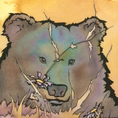 Burvant (1) Img #1 Pretty Bear