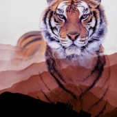 Choi (1) Img #1 Victims