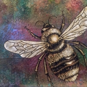 Dodge (1) Img #2  Honey