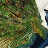 Dohn (1) Img #2  Peacock Feathers