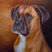 Doy (1) Img #2  Banner