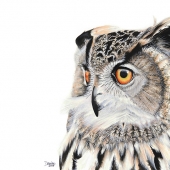 Dufour (2) Img #1 Wisdom