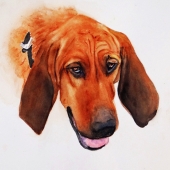 Foreman (1) Img #4  I'm On It!