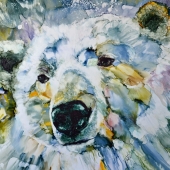 Franklin (1) Img #1  Nobility