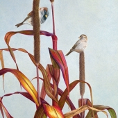 Harm (1) Img #2  Fall's Last Hurrah