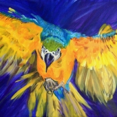 Harvill (1) Img #2  Freedom Flight