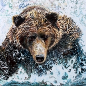 Hastings (1) Img #3 Bear