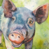 Hegemier (1) Img #4  Hog Heaven