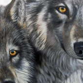 Hoep (1) Img #2 Teammates