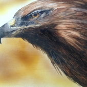 Hughes-M (1) Img #2 Eagle Eye